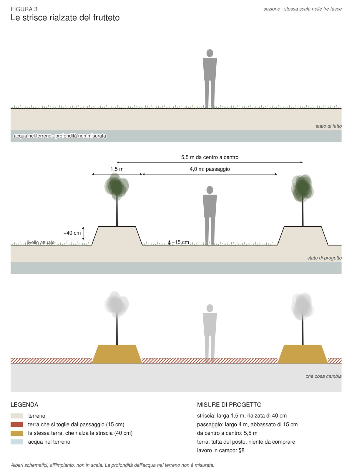 Design drawing: raised planting strip in a garden