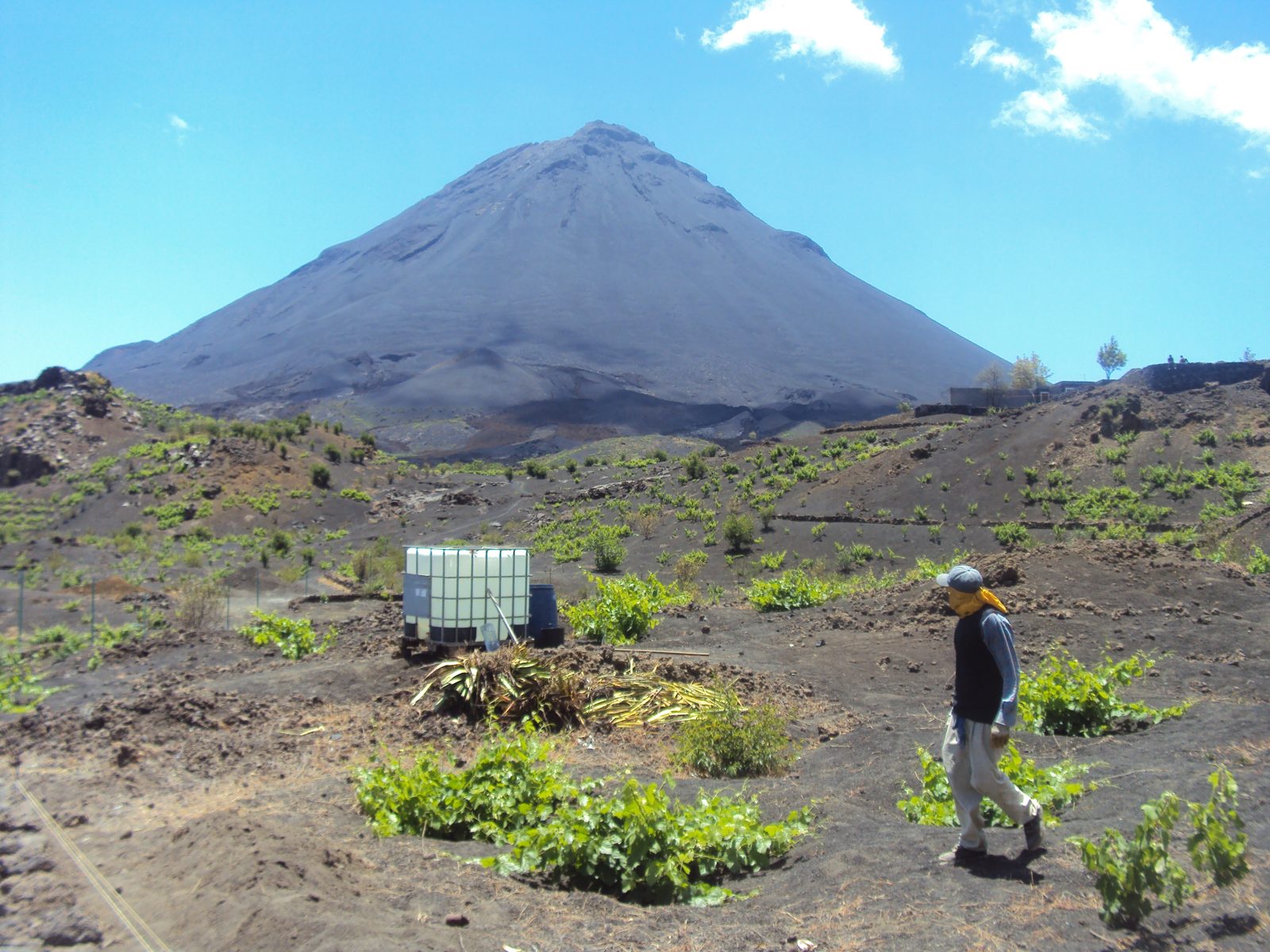 Paride Porpora in the vineyards of Pico do Fogo volcano, Cape Verde